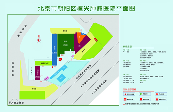 污黄啊啊啊啊北京市朝阳区桓兴肿瘤医院平面图